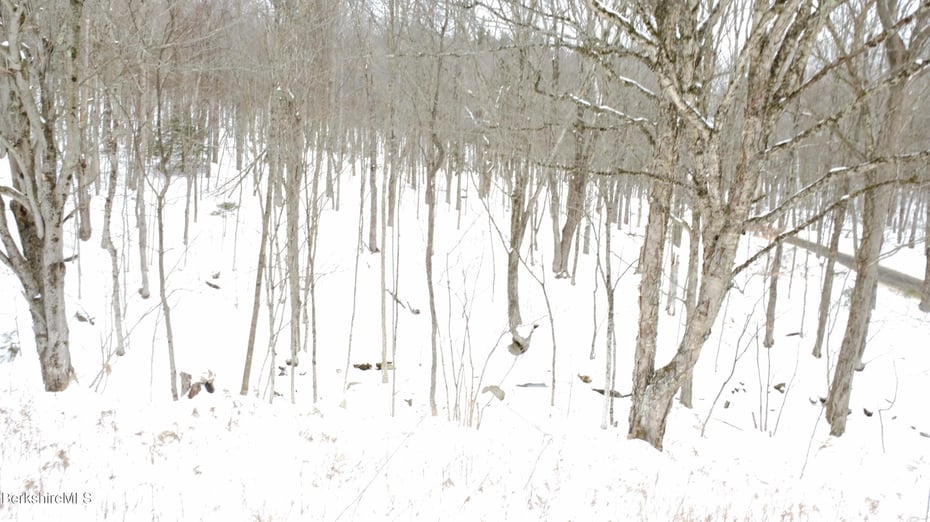 140 Strykers Rd Photo 17