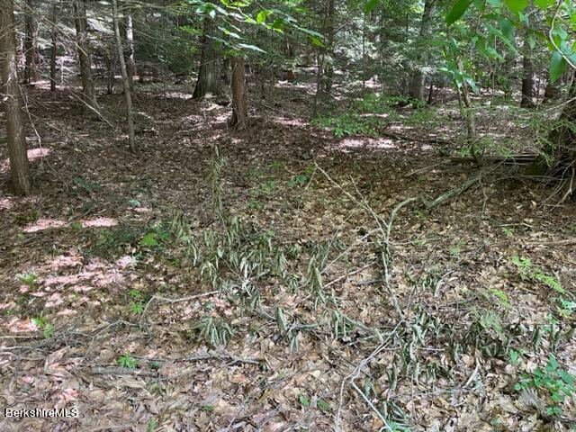 0 Goose Pond Rd Photo 2