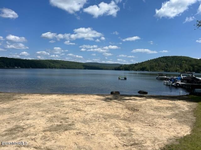 0 Goose Pond Rd Photo 1