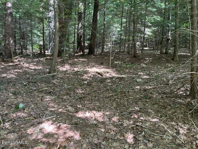 0 Goose Pond Rd Photo 9