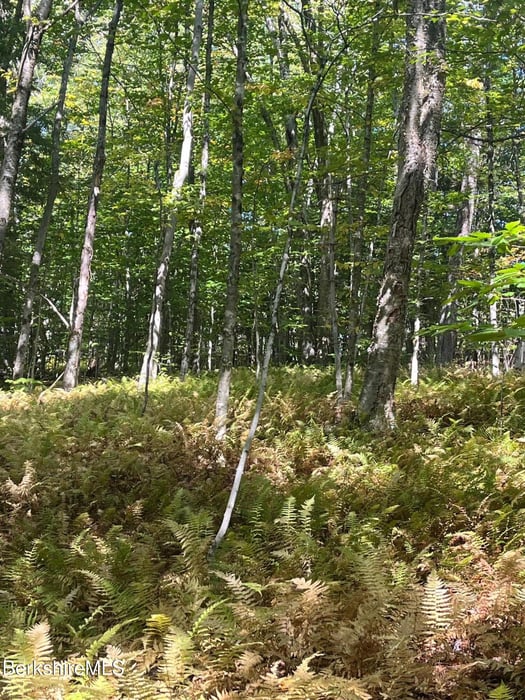 0 Central Shaft Rd Photo 1