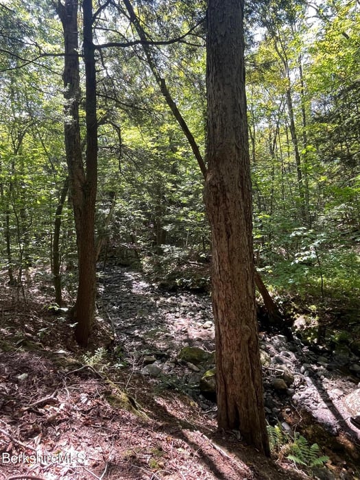 0 Central Shaft Rd Photo 4