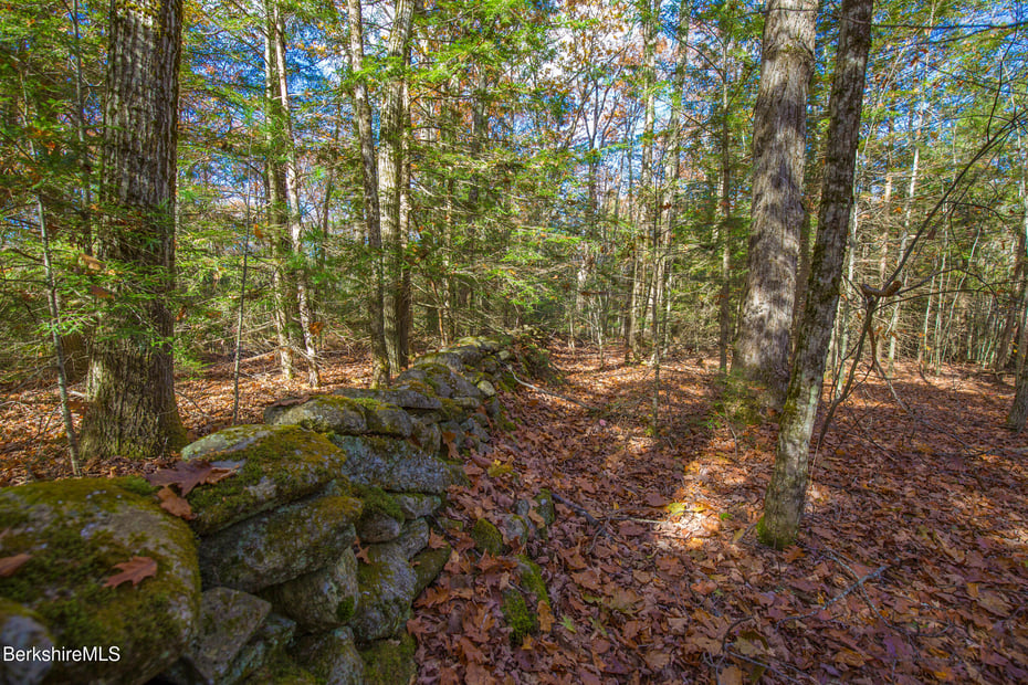 316 Lakeshore Dr Photo 3