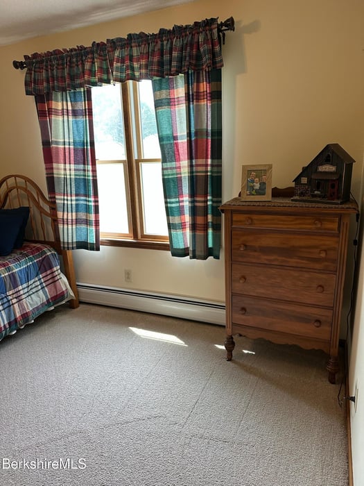 20 Pleasant View Dr Photo 25