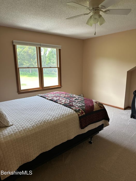 20 Pleasant View Dr Photo 26