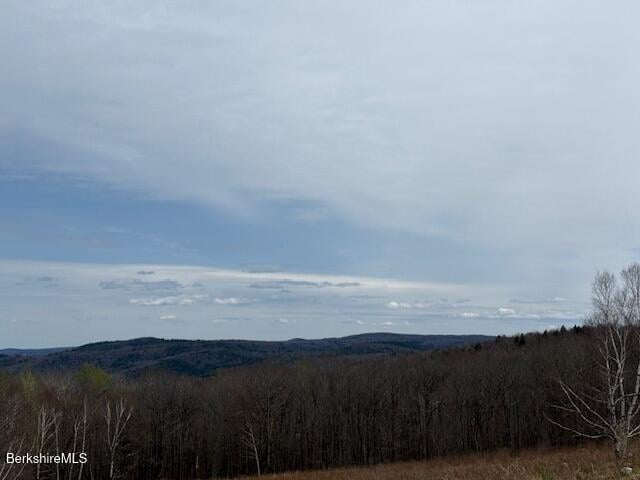 335 Mohawk Trail Photo 30