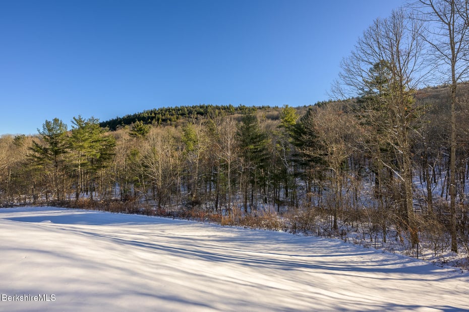 83 Maple Hill Rd Photo 4