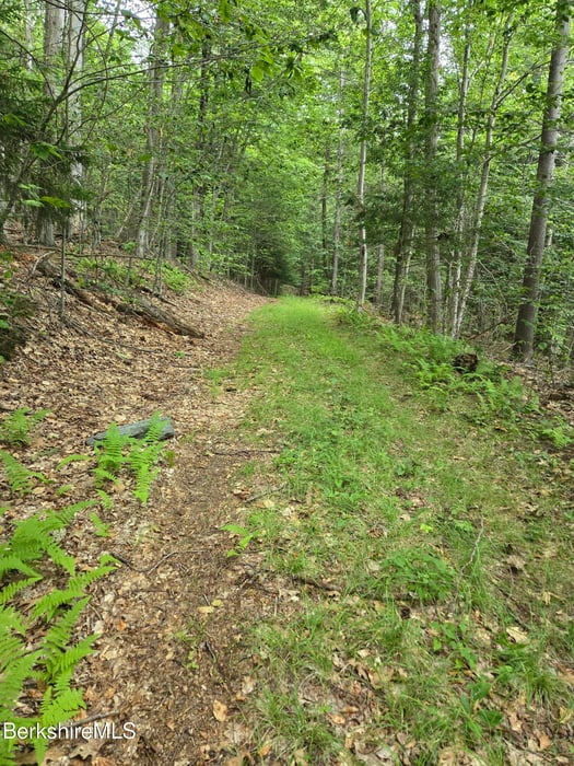 0 Monroe Rd Photo 3