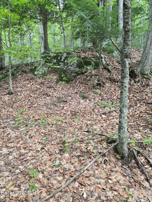 0 Monroe Rd Photo 13