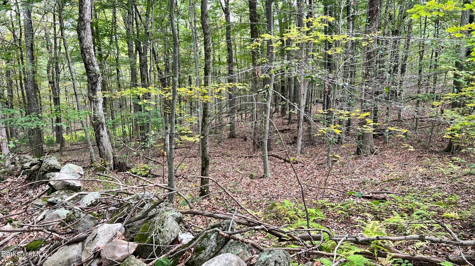 Lot 3 / 0 Rood Hill Rd Photo 7