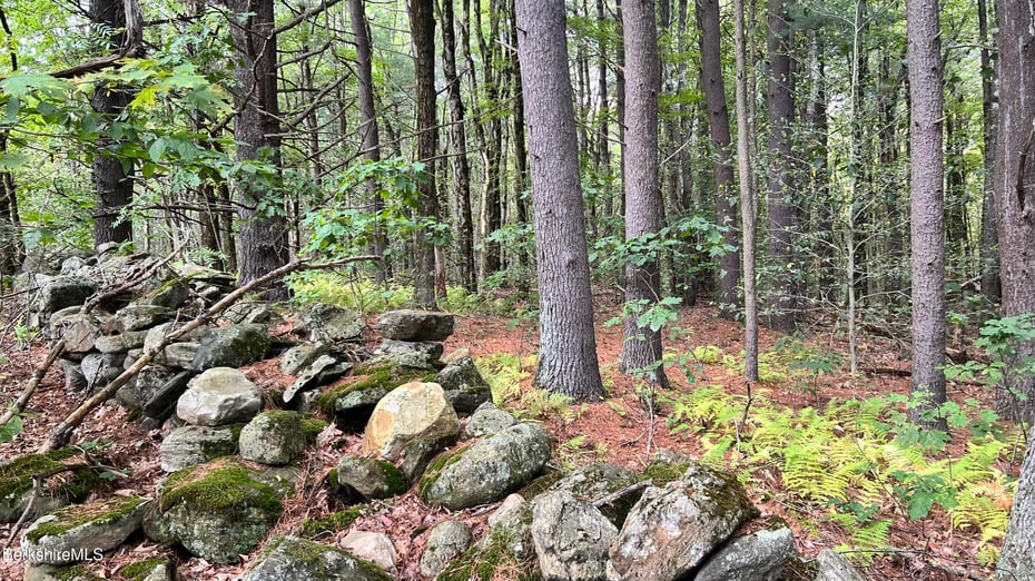 Lot 3 / 0 Rood Hill Rd Photo 4