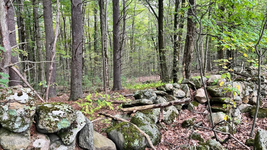 Lot 3 / 0 Rood Hill Rd Photo 2