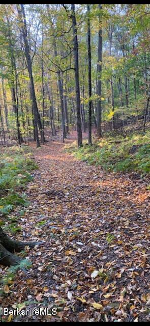 581 Red Barn Rd Photo 64