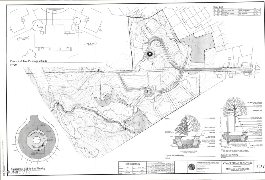 Lot 9 W Maple St Photo 9