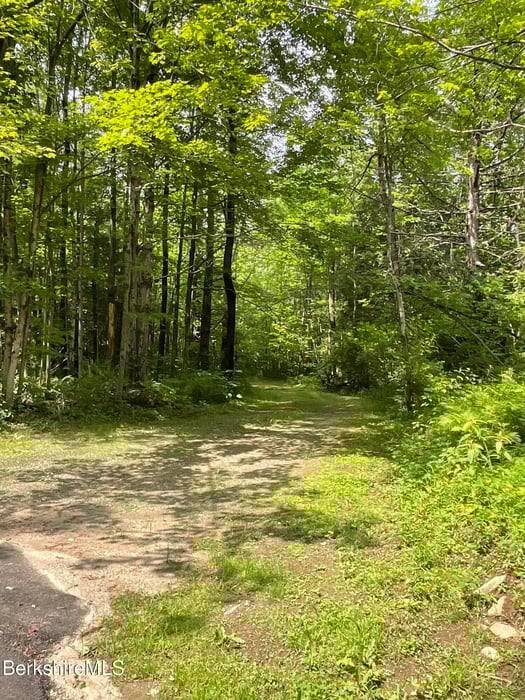 10 Art School Rd Photo 6