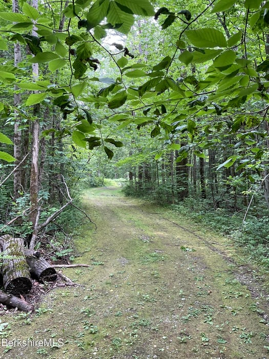 10 Art School Rd Photo 7