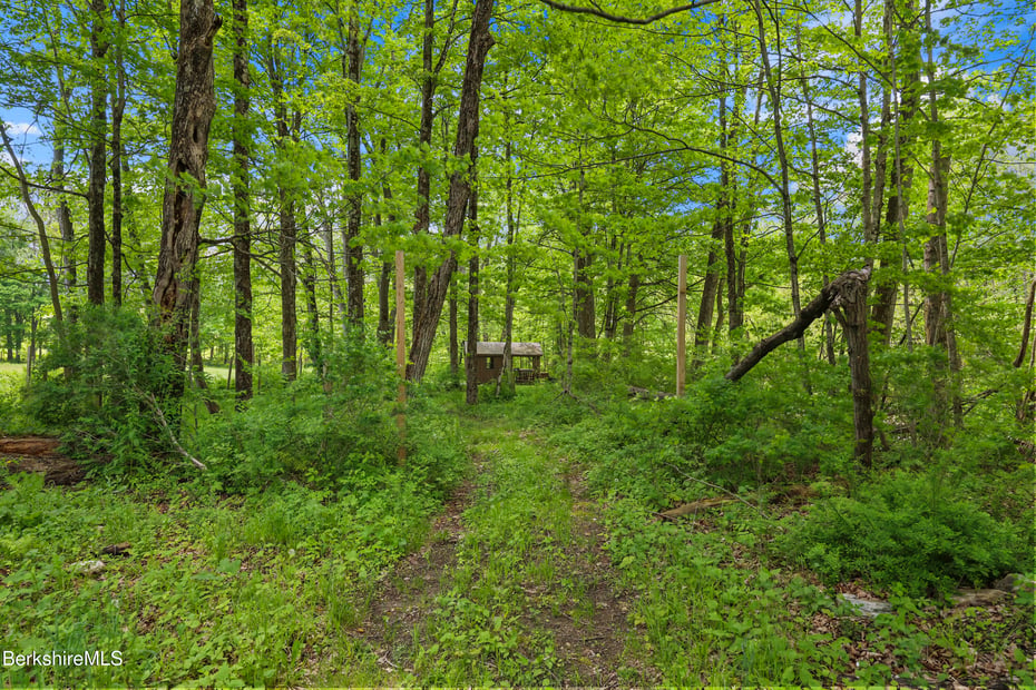 295 Blair Rd Photo 91