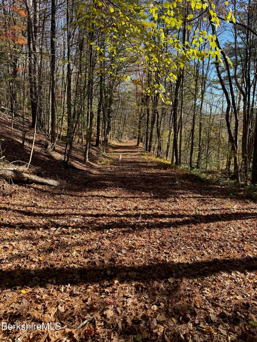 327 Chester Rd Photo 45