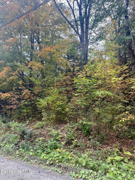 0 North Beech Plain Rd Photo 9