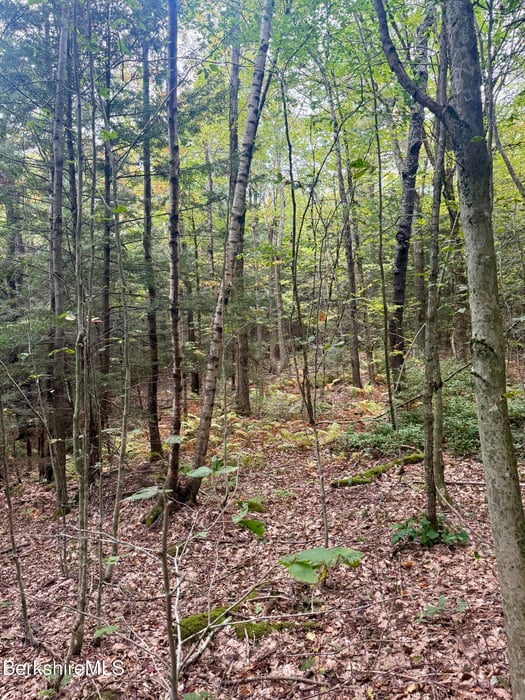 0 North Beech Plain Rd Photo 10