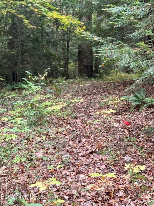 0 North Beech Plain Rd Photo 5