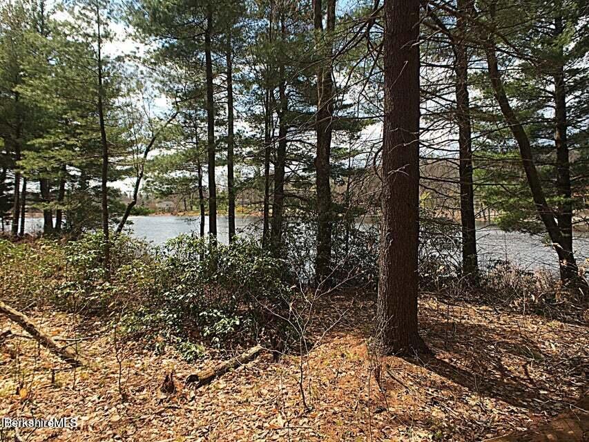 0 Mallard Dr Photo 6