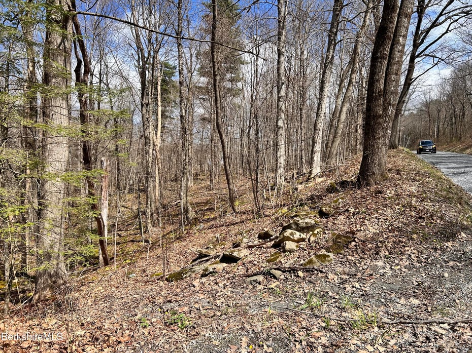0 Goose Pond (lot #4) Rd Photo 2