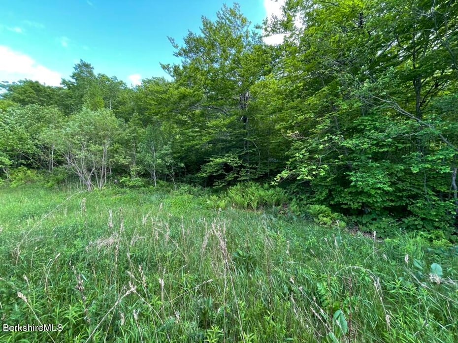 2438 Mohawk Trail Photo 5