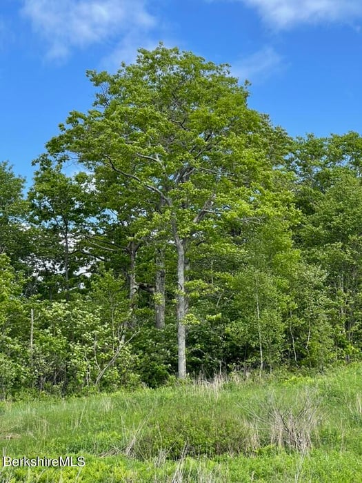 2438 Mohawk Trail Photo 4