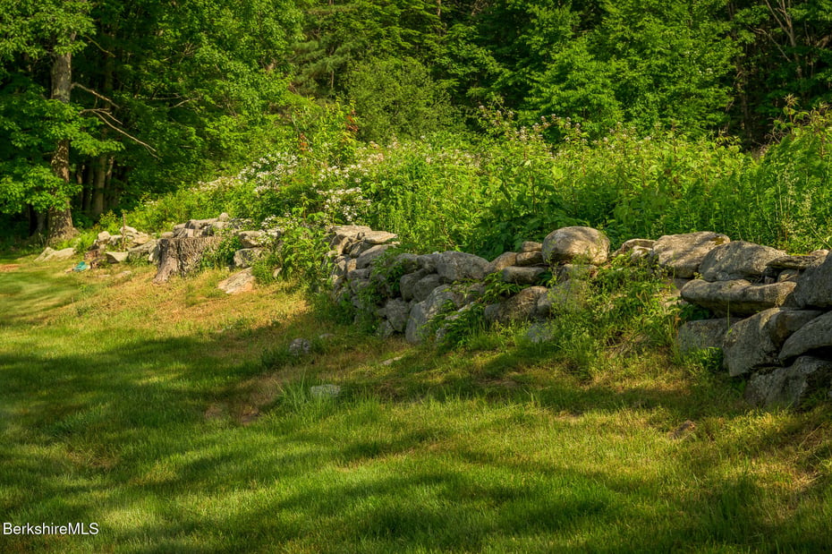 161 Beartown Mountain Rd Photo 57