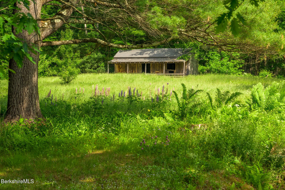 161 Beartown Mountain Rd Photo 55