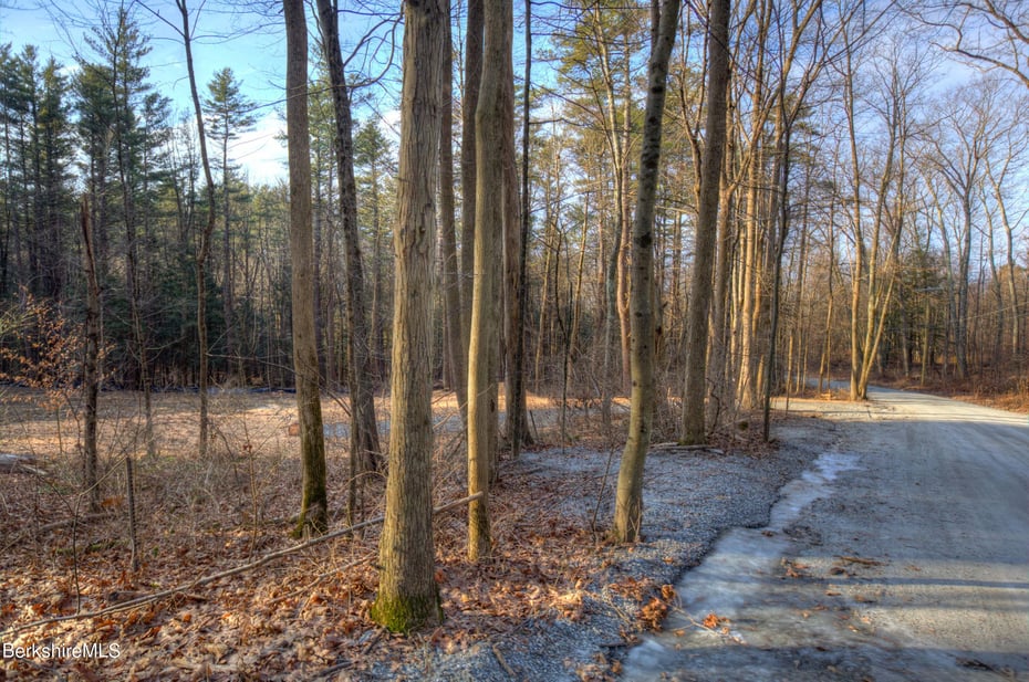 13 Rattlesnake Mountain Rd Photo 16
