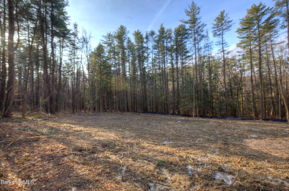 13 Rattlesnake Mountain Rd Photo 17