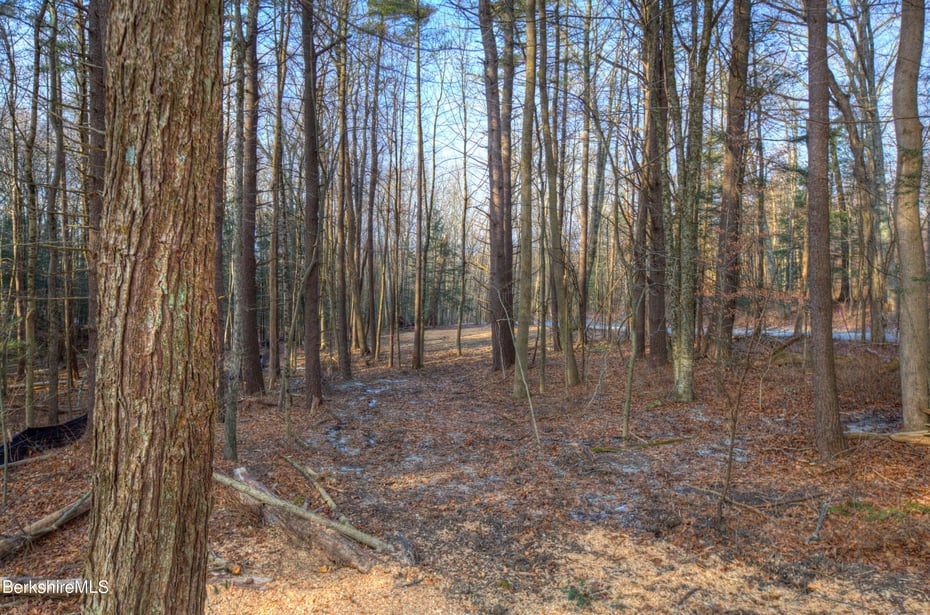 13 Rattlesnake Mountain Rd Photo 21