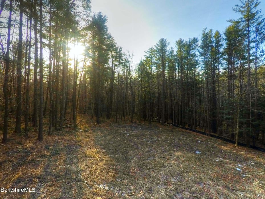 13 Rattlesnake Mountain Rd Photo 25