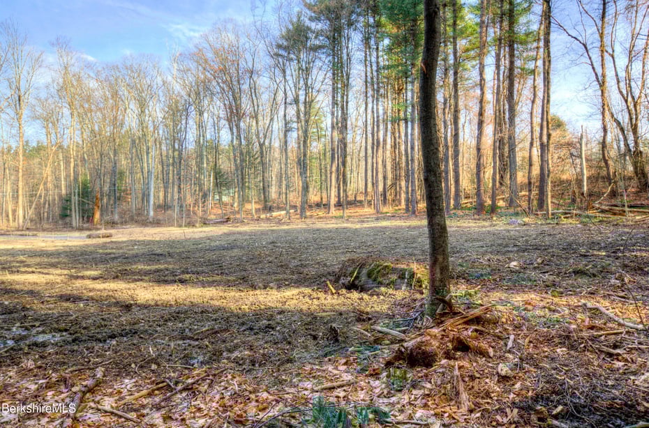 13 Rattlesnake Mountain Rd Photo 10
