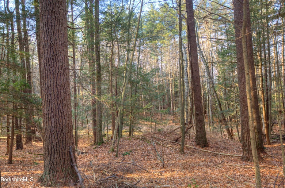 13 Rattlesnake Mountain Rd Photo 19