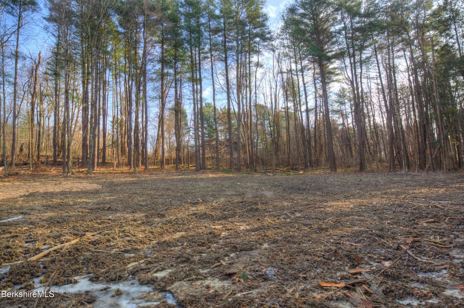 13 Rattlesnake Mountain Rd Photo 3