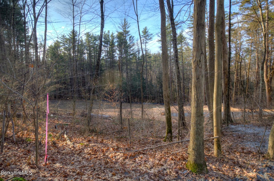 13 Rattlesnake Mountain Rd Photo 20