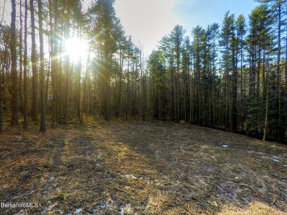 13 Rattlesnake Mountain Rd Photo 6