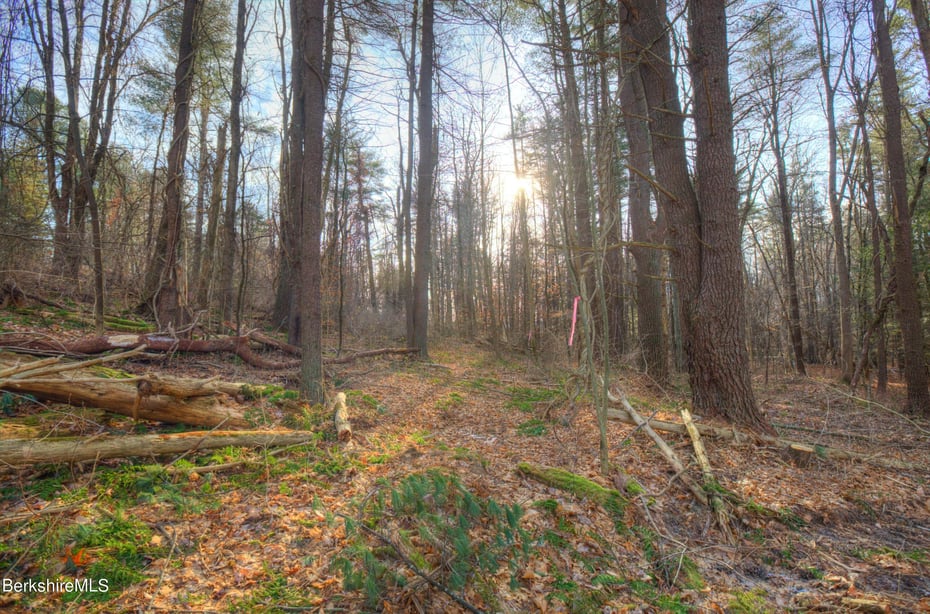 13 Rattlesnake Mountain Rd Photo 22