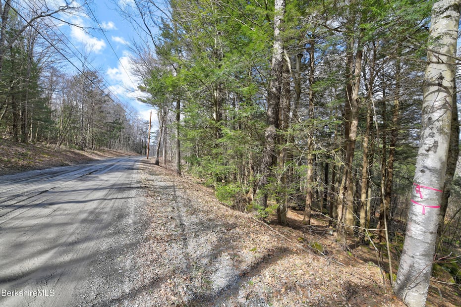 83 Goose Pond Rd Photo 7