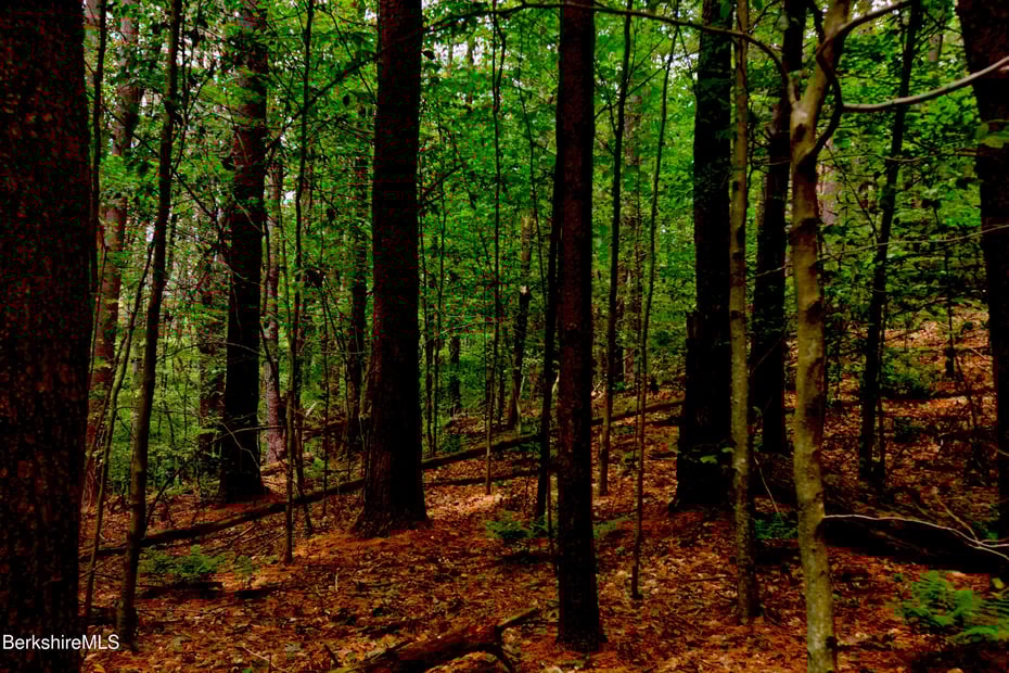 66 Scott Rd Photo 12