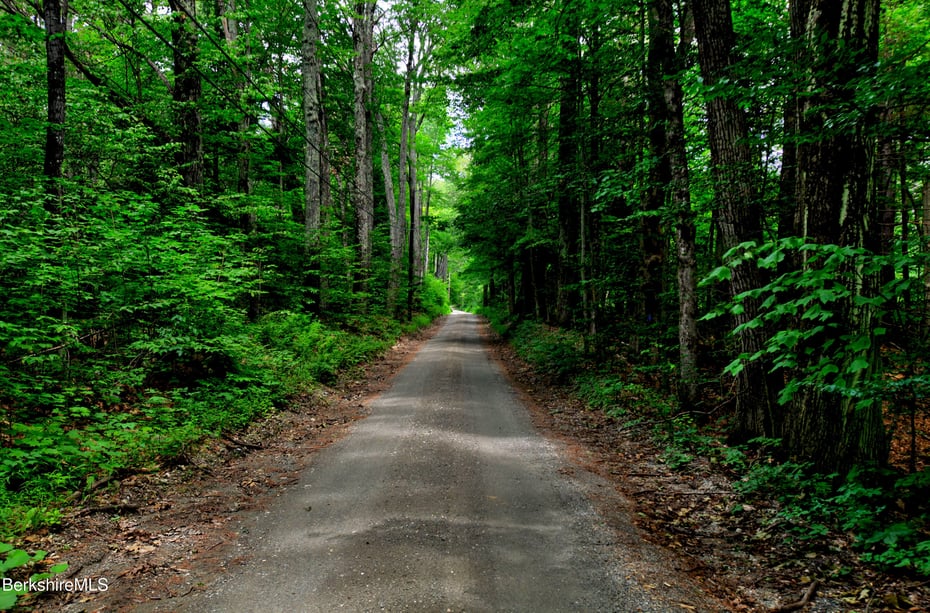 66 Scott Rd Photo 11