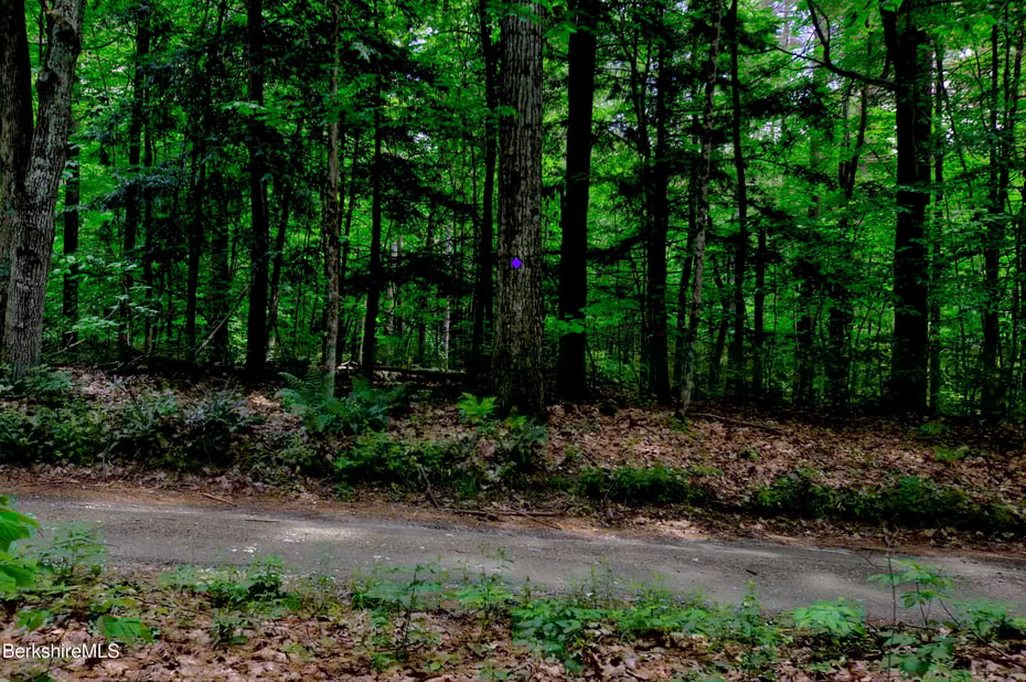 66 Scott Rd Photo 15