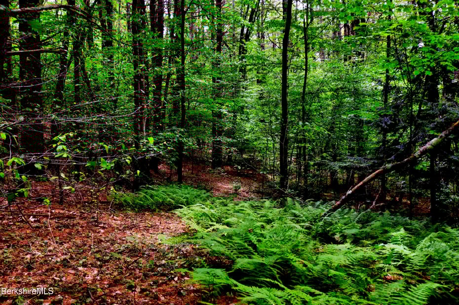 66 Scott Rd Photo 14