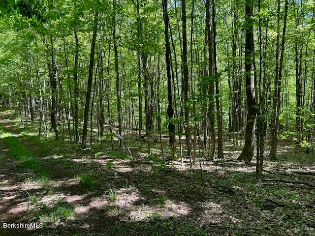 160 Simmons Rd Photo 1