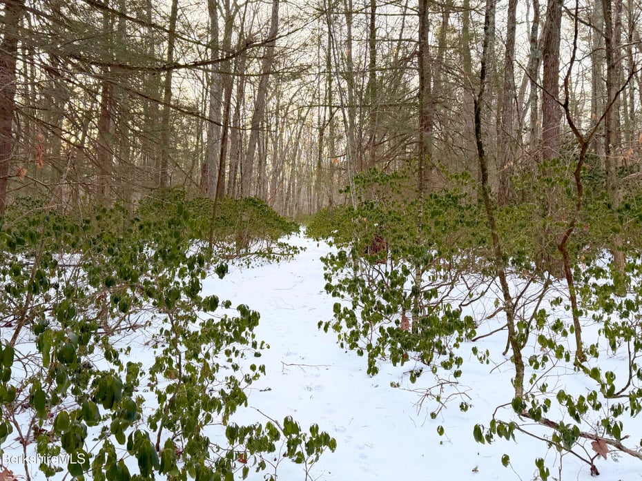 0 Route 57 Photo 4