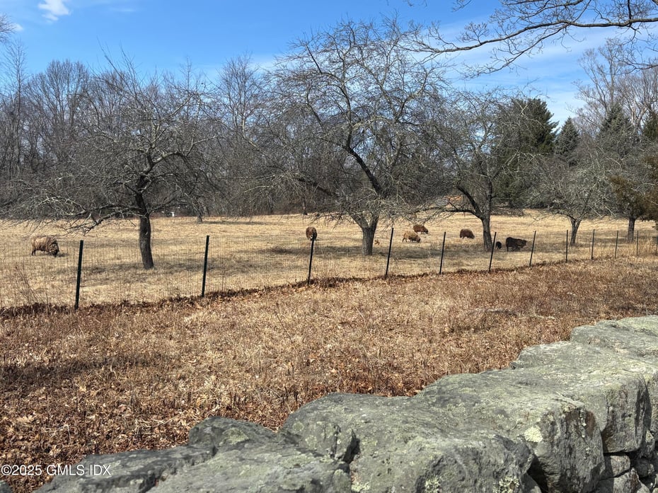 10 Cliffdale Road Photo 12