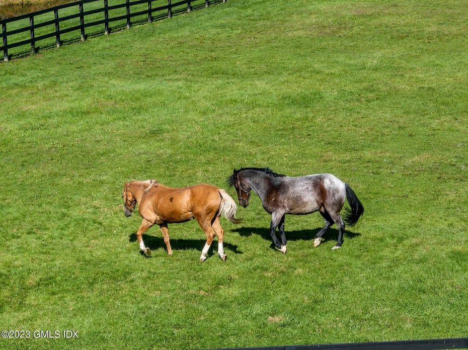 7 Equestrian Ridge Photo 13